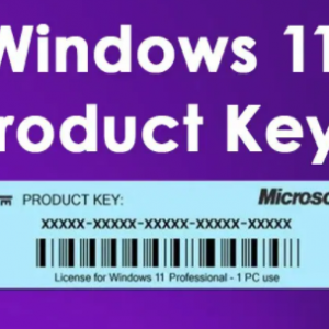 Buy Windows 11 Pro Product Key